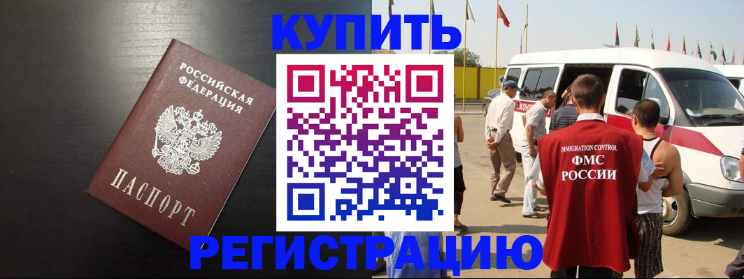 прописка 2025 в Светлогорске